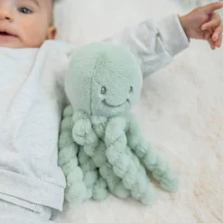 Nattou                    Peluche Pieuvre Toudous Lapidou    Vert tilleul