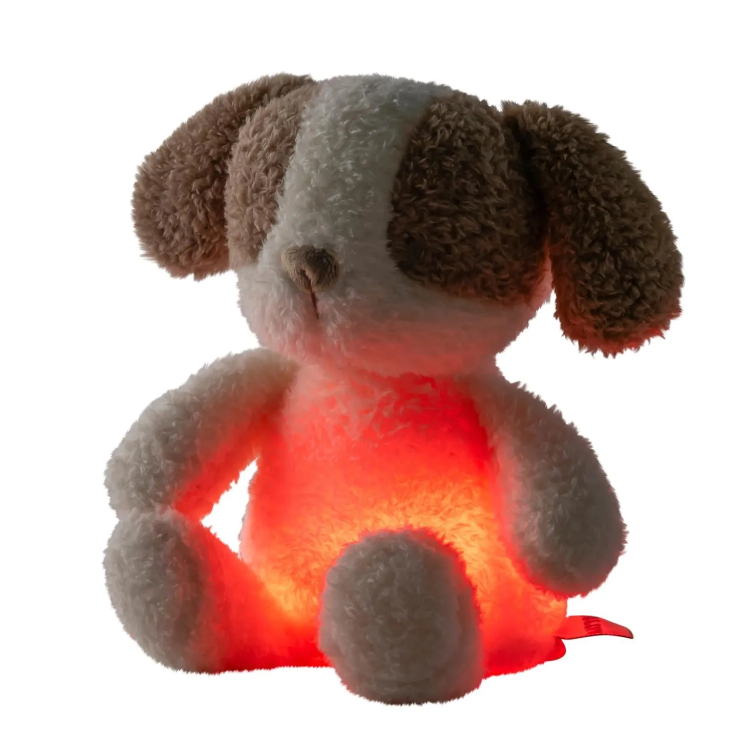 Nattou Veilleuse Mini Peluche Chien Bouclette Teddy Ecru