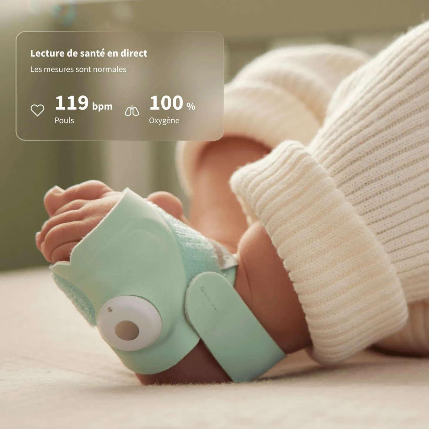 Owlet Pack Dream Sock + Dream Sight Cam Menthe