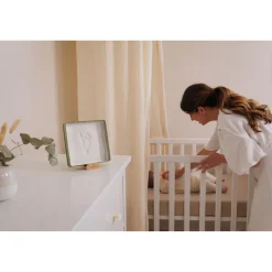Petit Artichaut                    Baby Box Carrée    Olive Tree