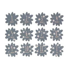 Petit Artichaut Coffret naissance Daisy Blue