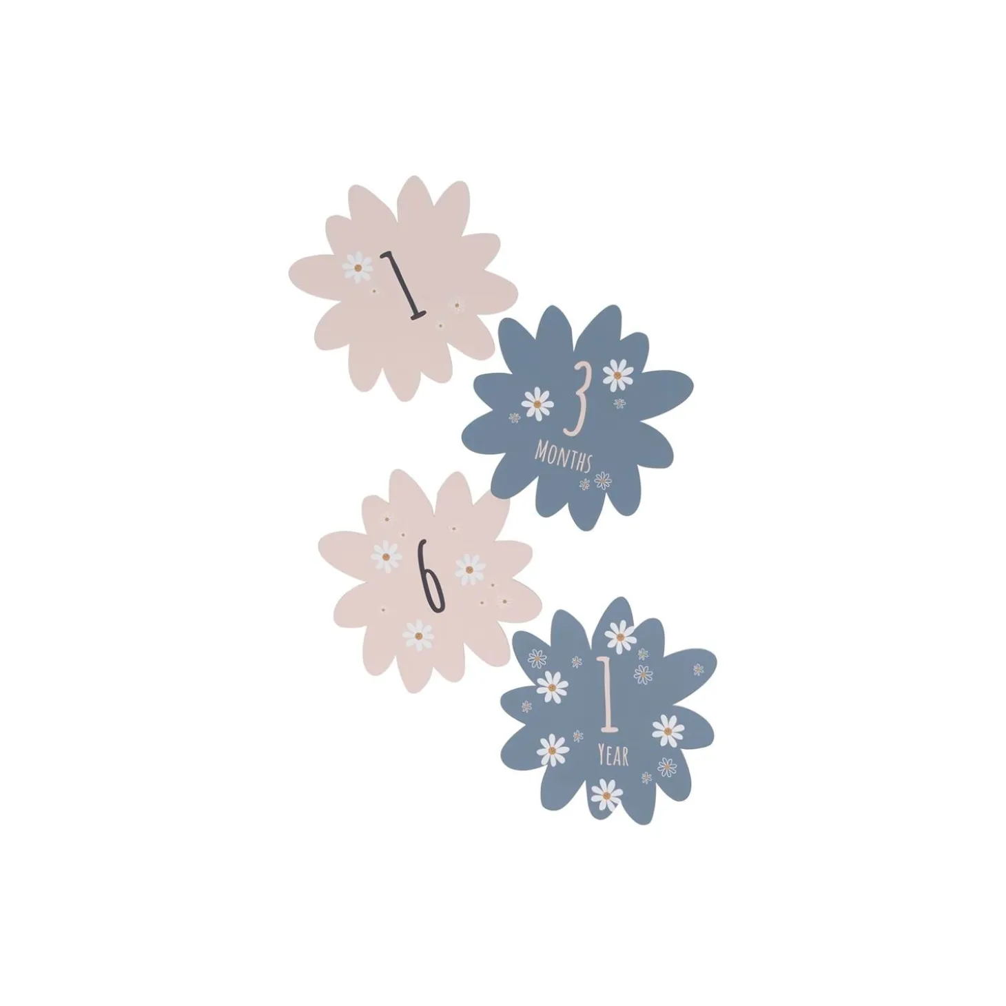 Petit Artichaut Coffret naissance Daisy Blue