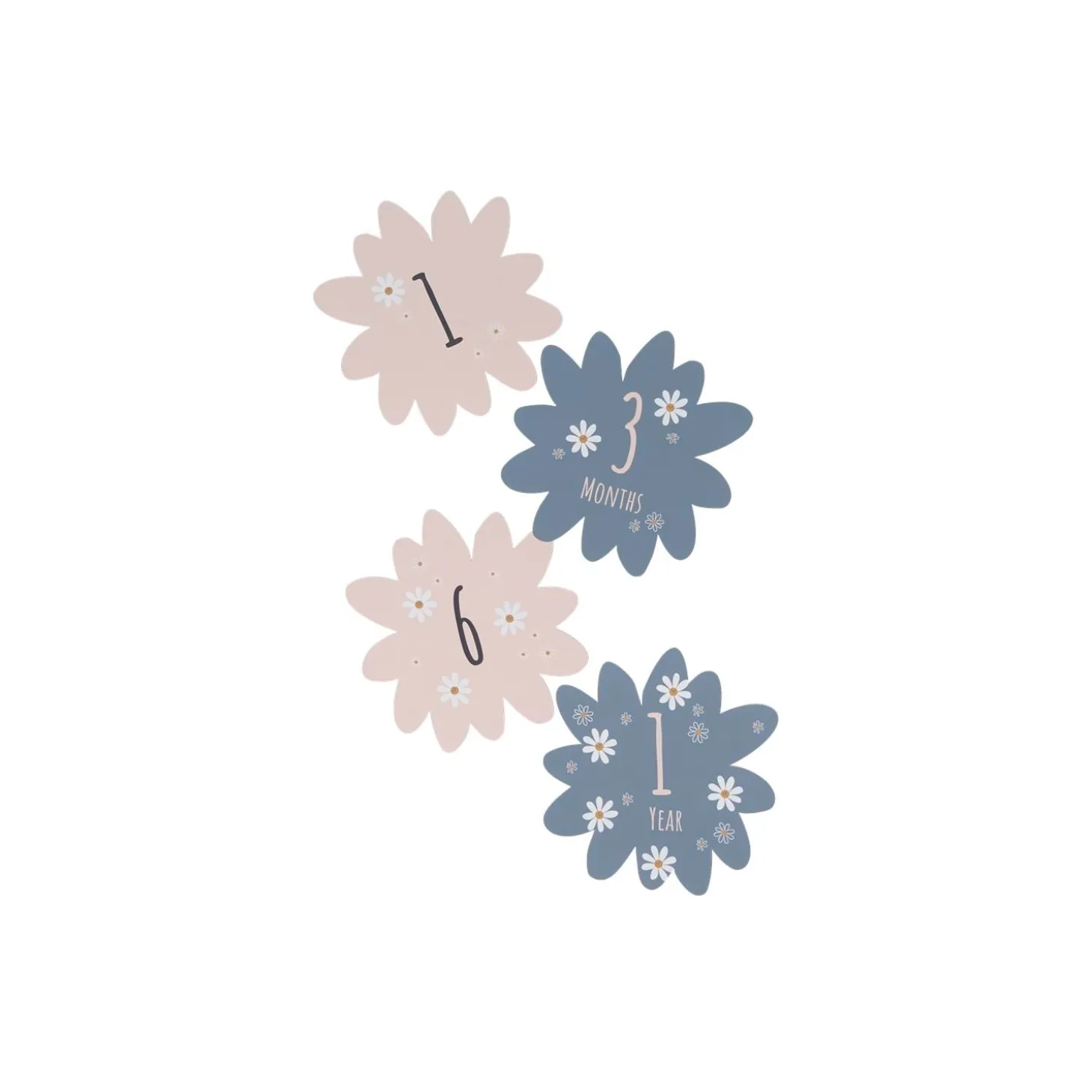 Petit Artichaut Coffret naissance Daisy Blue