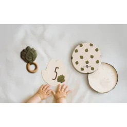 Petit Artichaut Coffret naissance Multicolore