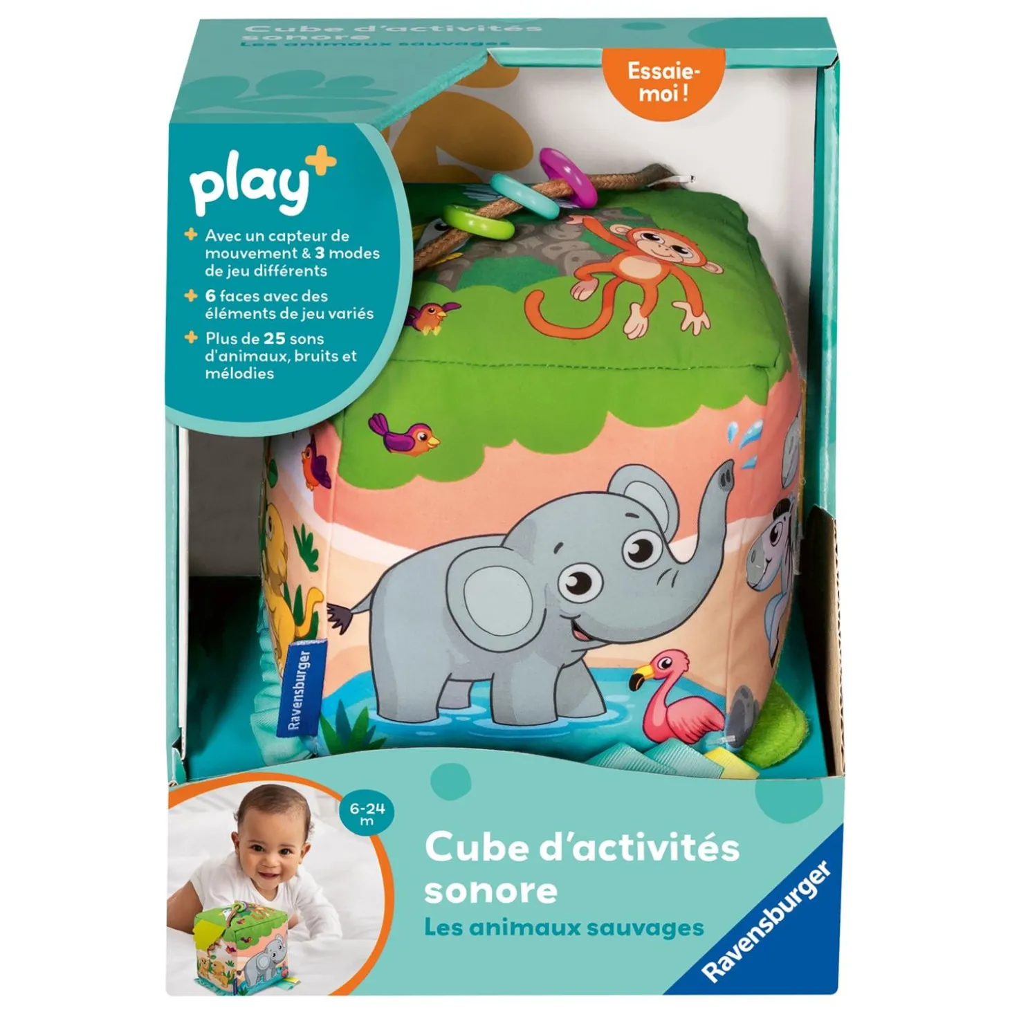 Play+ Cube d'activités sonore Les Animaux Sauvages 6-24 mois