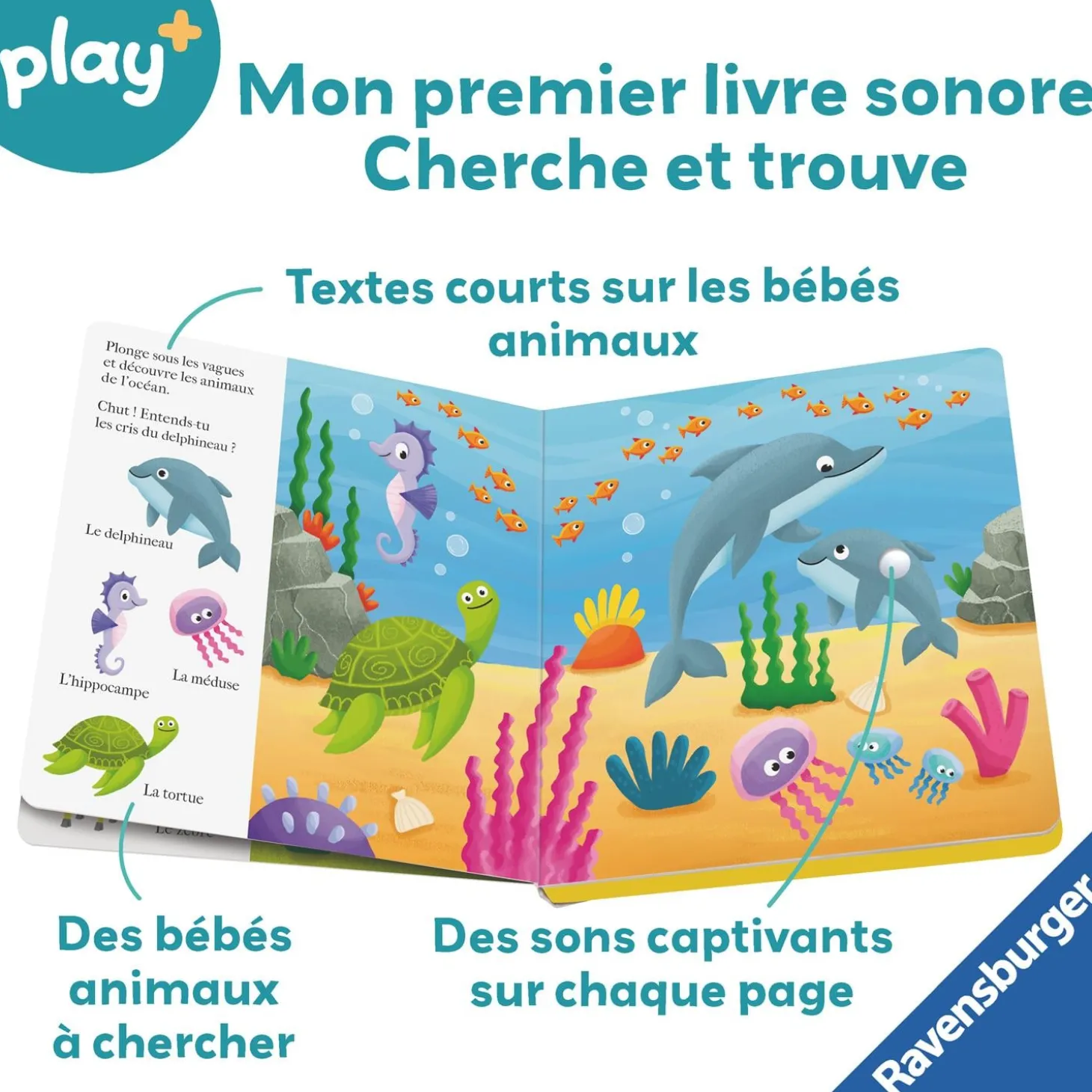 Play+ Livre sonore cherche et trouve Les Bébés Animauxmulticolore