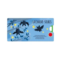 Sassi Junior                    Livres sonores. La ferme    Vert            Vert