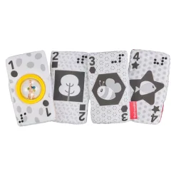 Sophie la girafe                    Mes cartes sensorielles    Multicolore