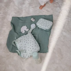 Suavinex                    Set Brosse + Peigne Birdies    Vert