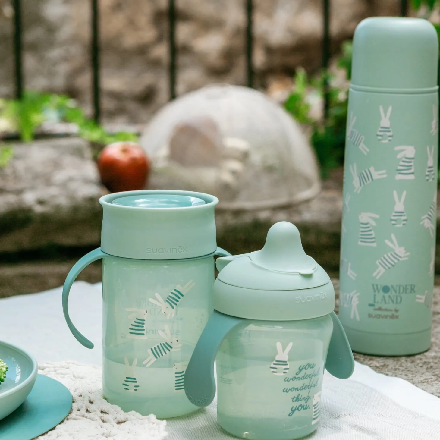 Suavinex Tasse Apprentissage Wonderland Lapin Vert 200 ml