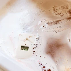 Suavinex                    Thermomètre de Bain Digital Wonderland Lapins    Couleur aléatoire