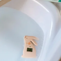 Suavinex                    Thermomètre de Bain Digital Wonderland Lapins    Couleur aléatoire