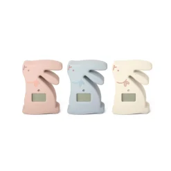 Suavinex                    Thermomètre de Bain Digital Wonderland Lapins    Couleur aléatoire
