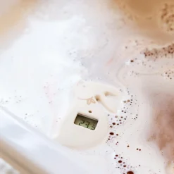 Suavinex                    Thermomètre de Bain Digital Wonderland Lapins    Couleur aléatoire