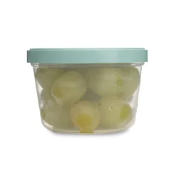 Thermobaby 5 boites de conservation 250 ml