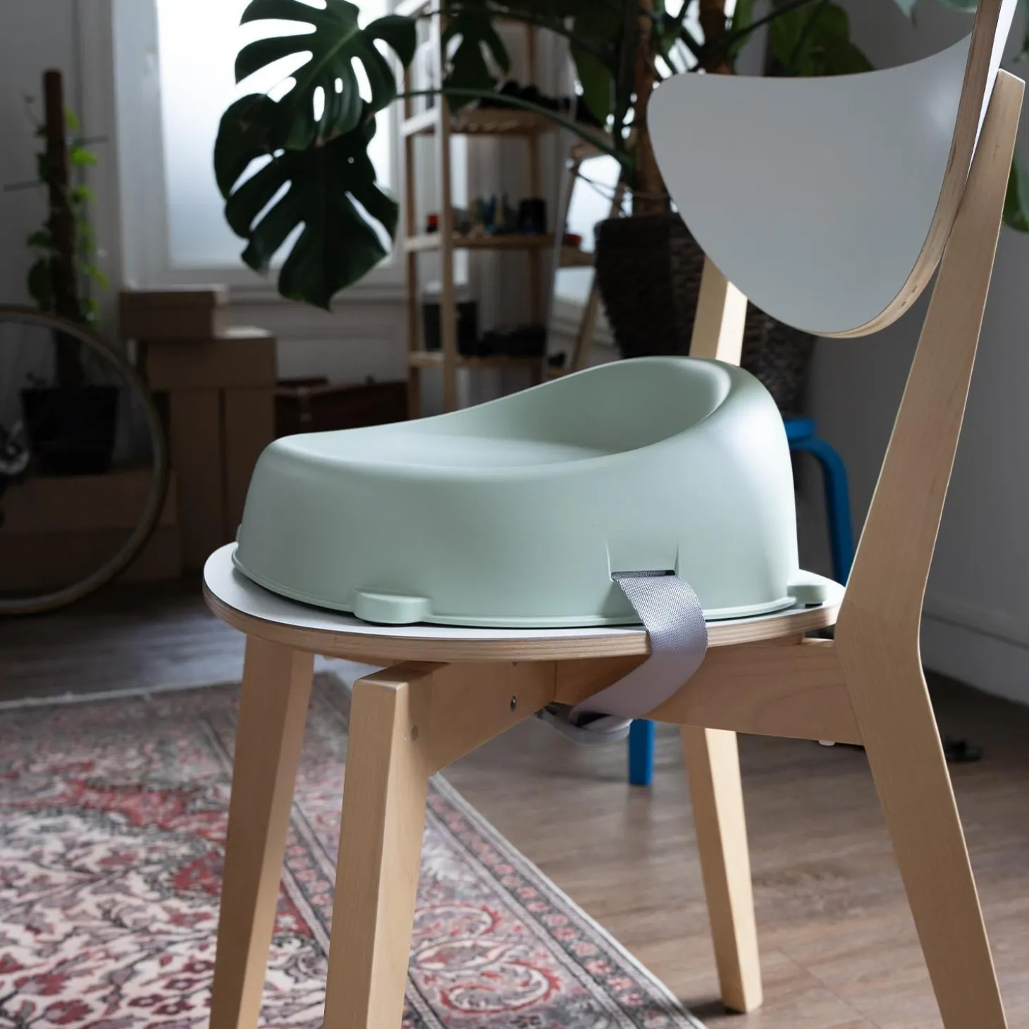 Thermobaby Réhausseur de chaise Easy Vert celadon