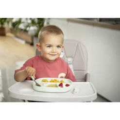 Tigex                    Assiette ventouse 100% Silicone    Blanc