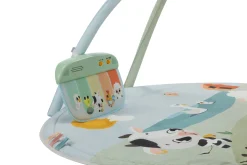 Tiny Love                    Tapis d'éveil Gymini    Farmers
