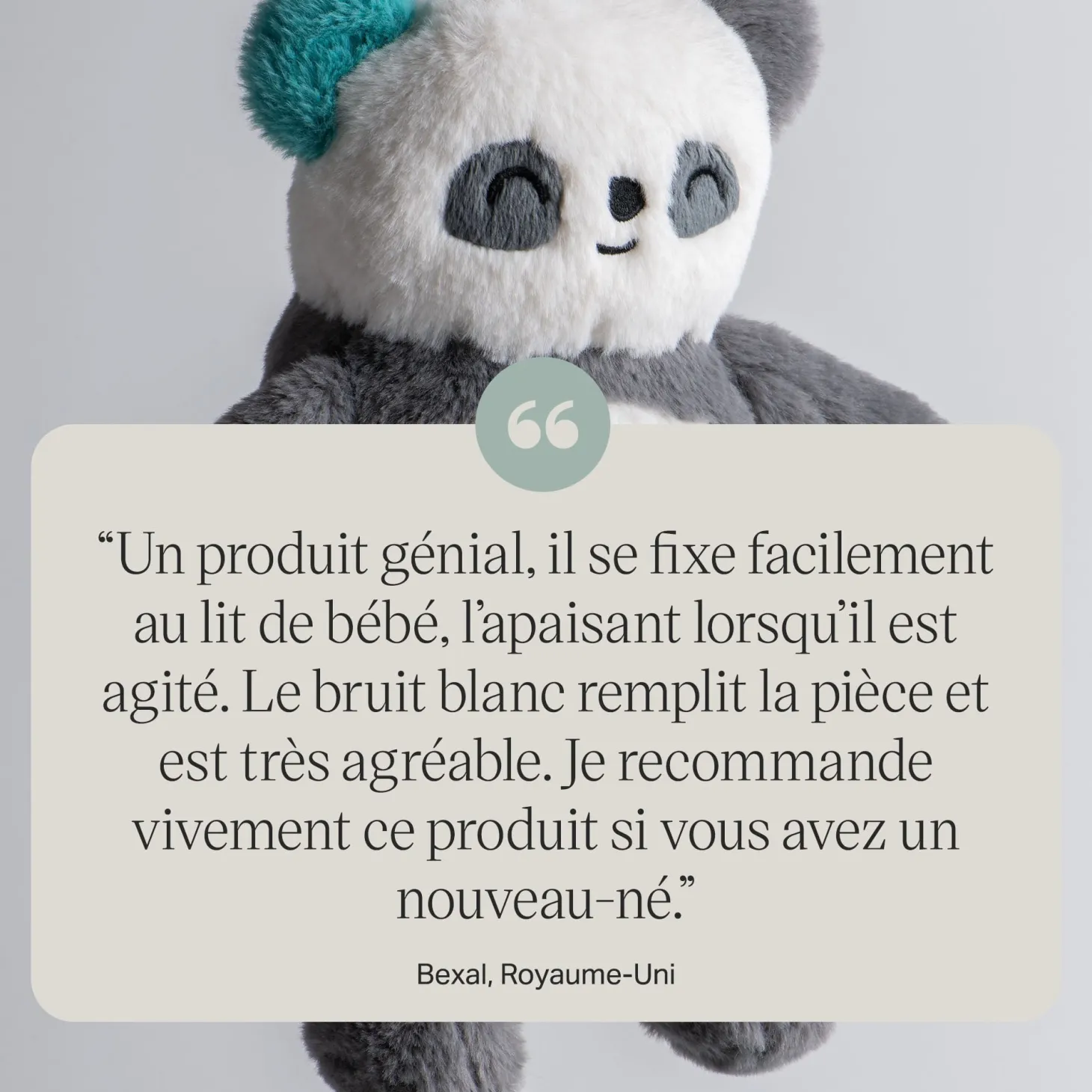 Tommee Tippee Peluche aide au sommeil Panda