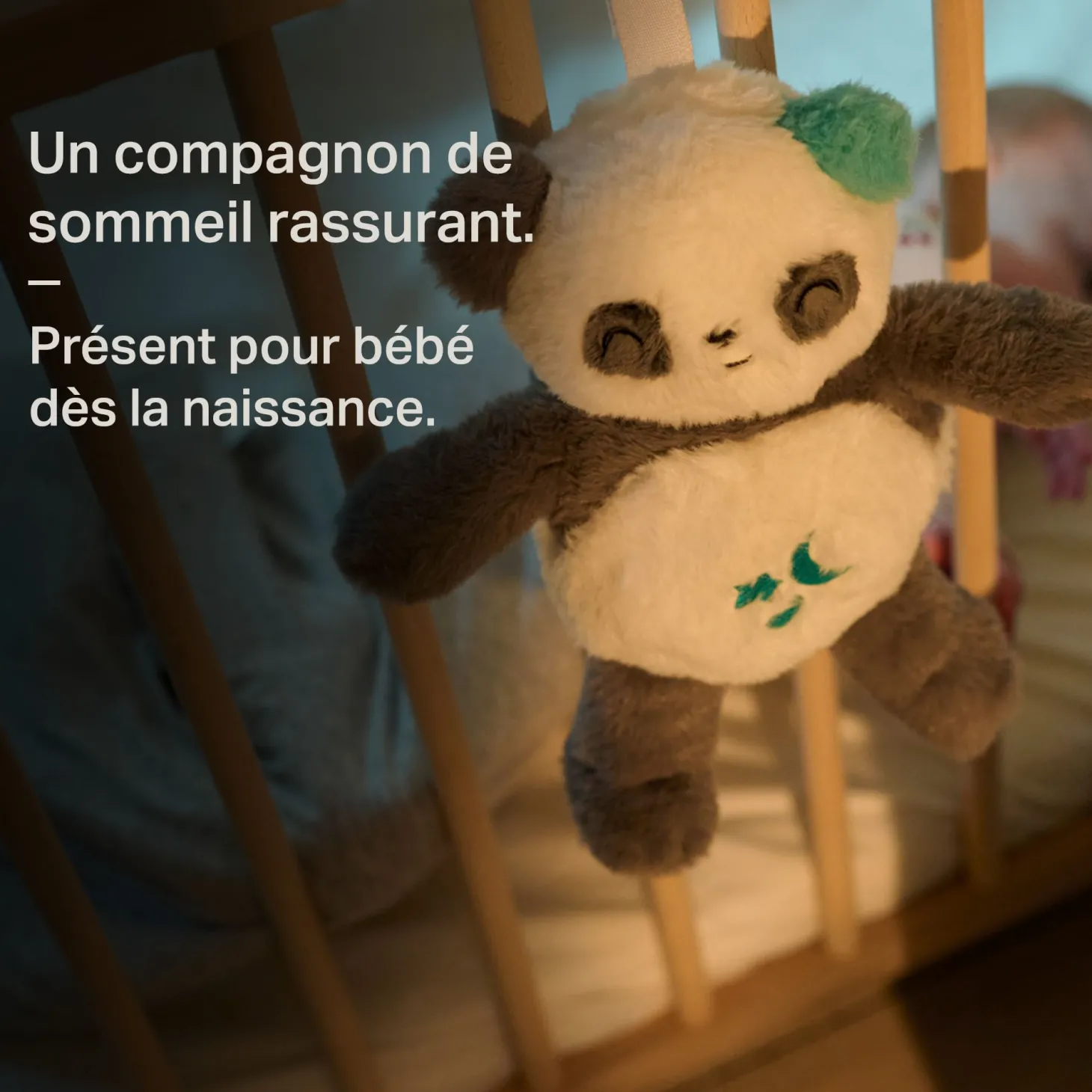 Tommee Tippee Peluche aide au sommeil Panda