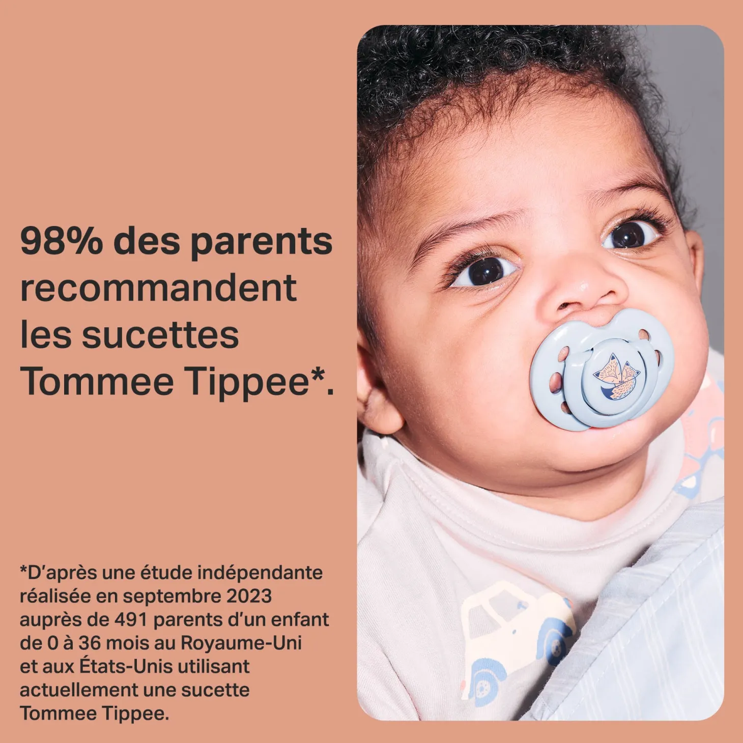 Tommee Tippee 2 sucettes Closer to Nature Fun mixte 18-36 mois