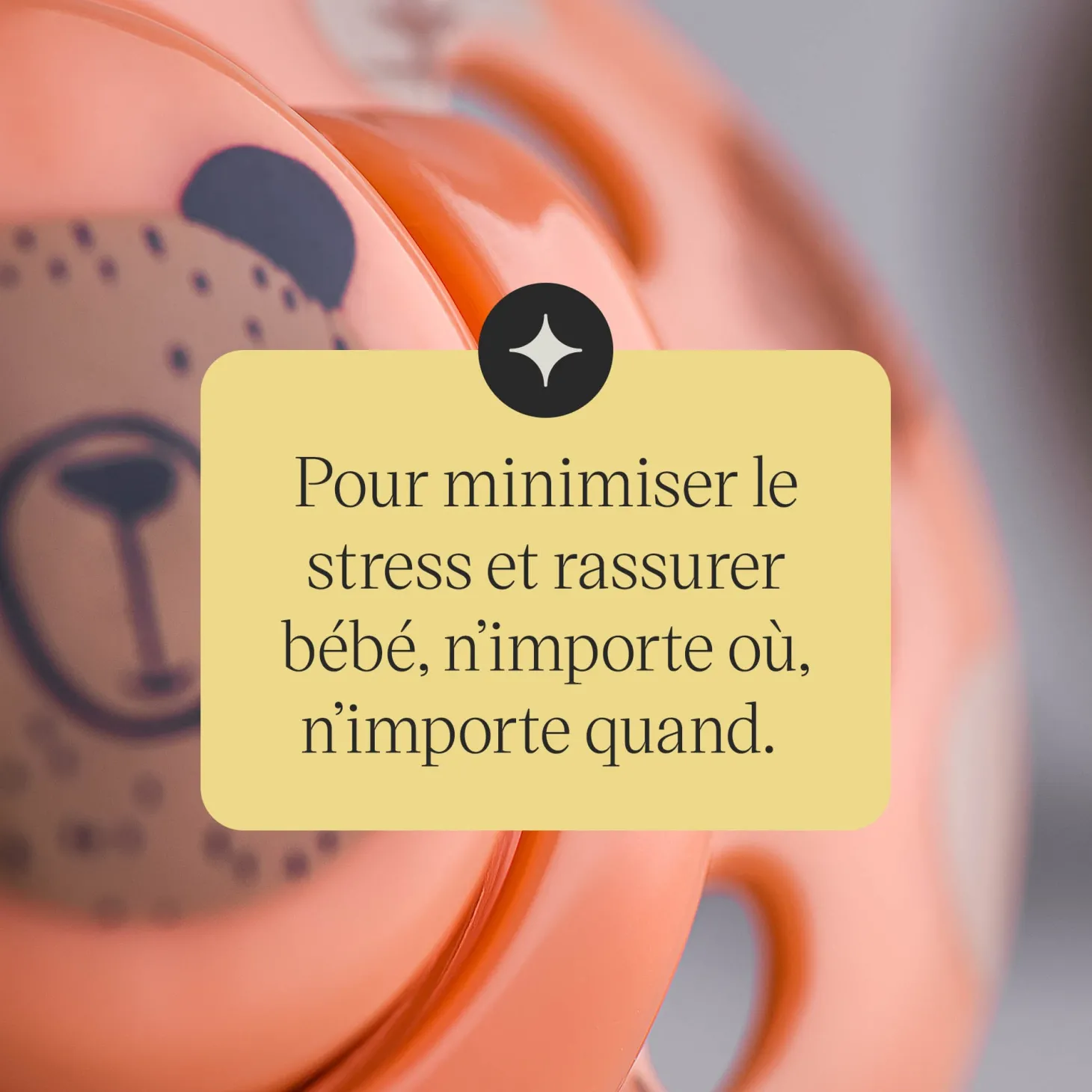 Tommee Tippee 2 sucettes Closer to Nature Fun mixte 18-36 mois