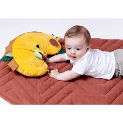 Trixie Coussin d'activités Mr. Lion
