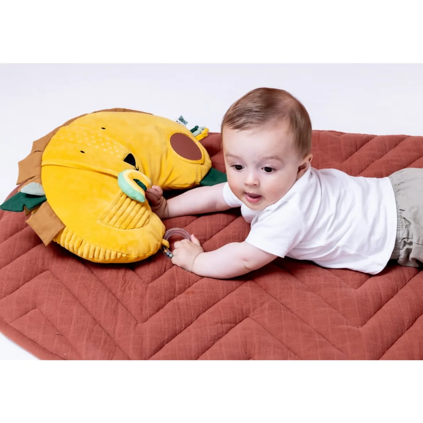 Trixie Coussin d'activités Mr. Lion