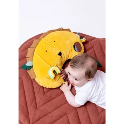 Trixie                    Coussin d'activités    Mr. Lion
