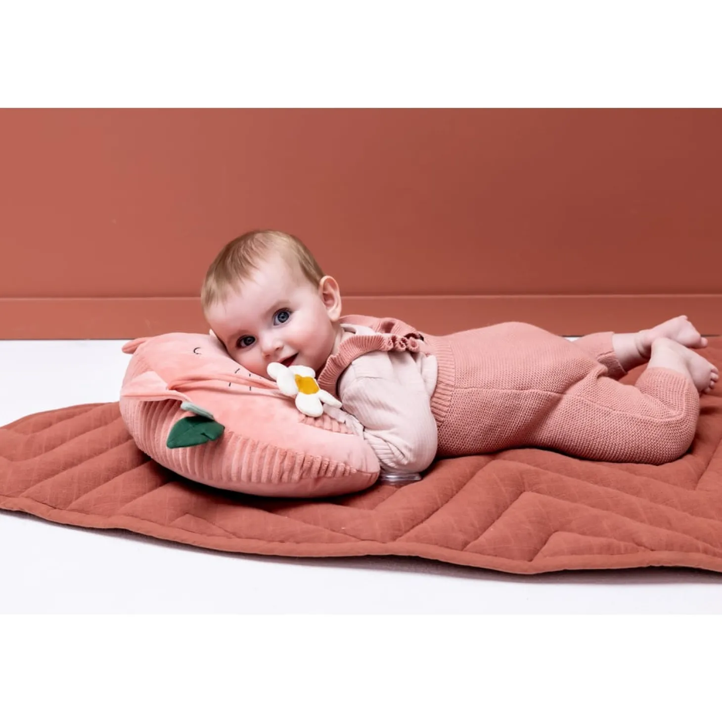 Trixie Coussin d'activités Mrs. Cat
