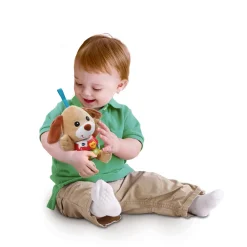 VTech Baby                    Chant'toutou    Brun