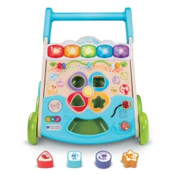 VTech Baby                    Super trotteur nature interactif    Multicolore
