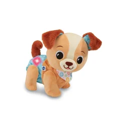 VTech Baby                    Toutou, 1, 2, 3 suis-moi    Multicolore