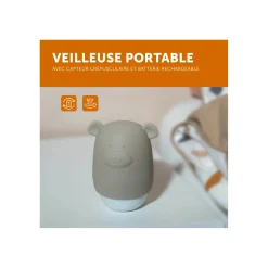 Zazu                    Veilleuse Benny compacte nomade    Chocolat